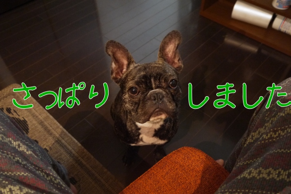 iphoneカバー2
