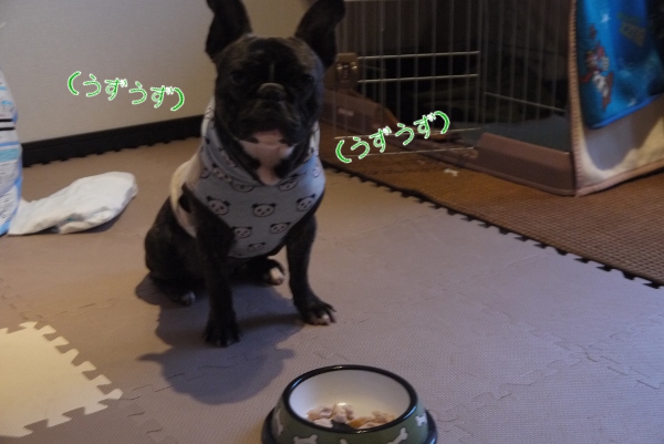 おやつのささみ焼き2