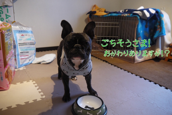 おやつのささみ焼き3