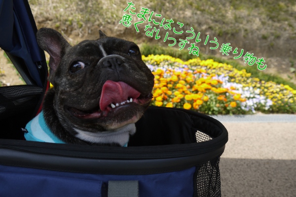 ひめはるの里6
