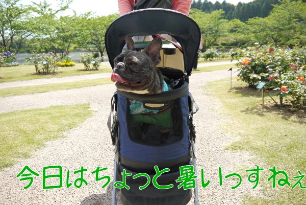 ひめはるの里8