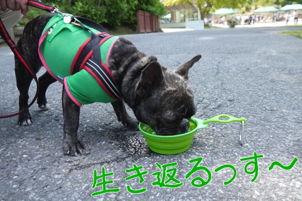 ひめはるの里12
