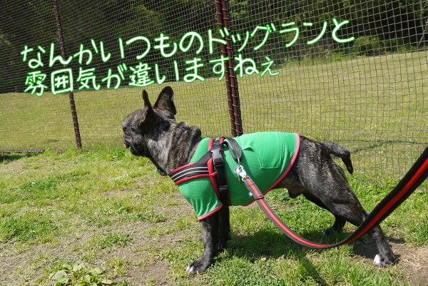 ひめはるの里13