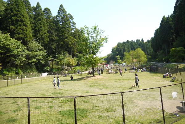 ひめはるの里14