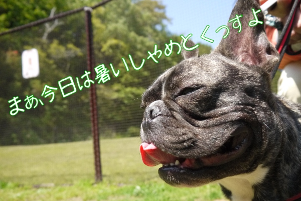 ひめはるの里15