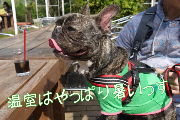 ハーブ園3