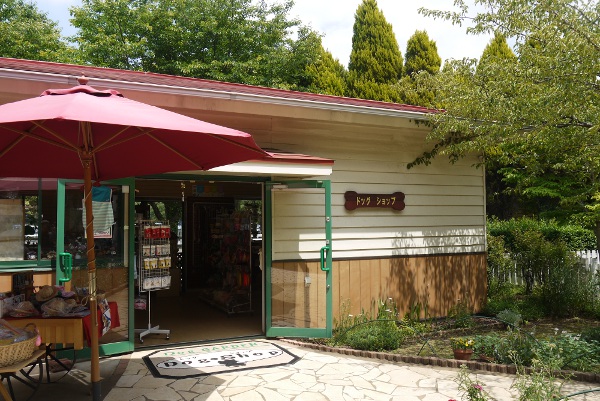 成田8