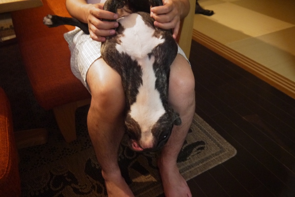 すきんしっぷ4