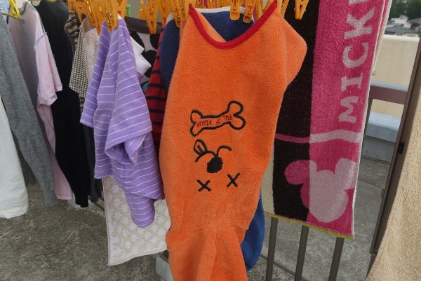 くさい8
