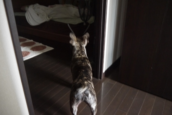 まつわ4