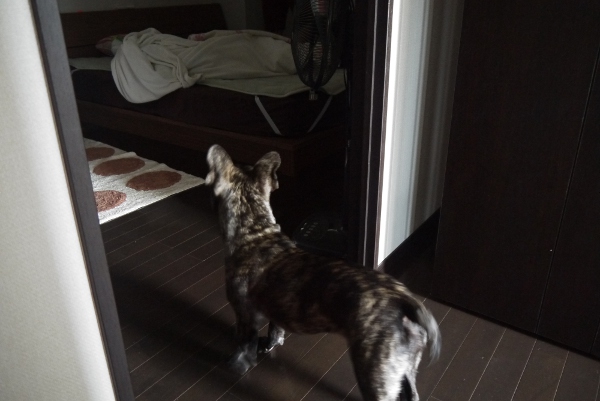 まつわ5