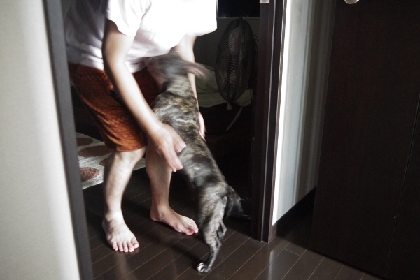 まつわ10