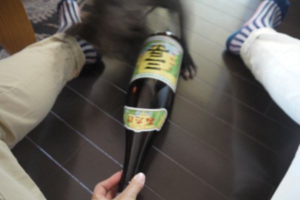 ひかく6