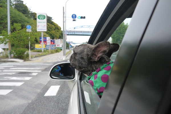 おかいもの1