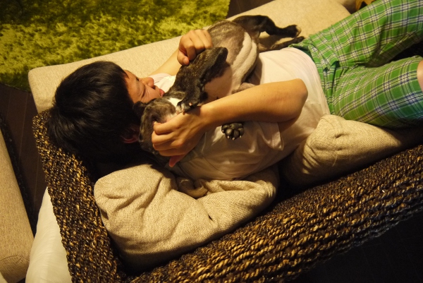 ぶひれす1