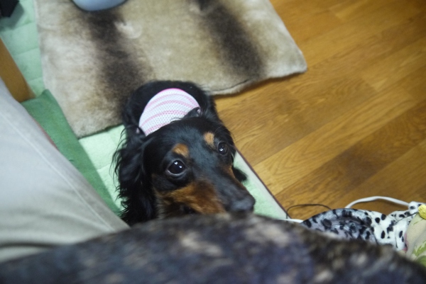 しり3