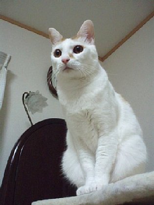 2012042705.jpg