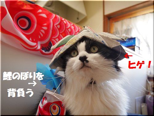 2012050503.jpg