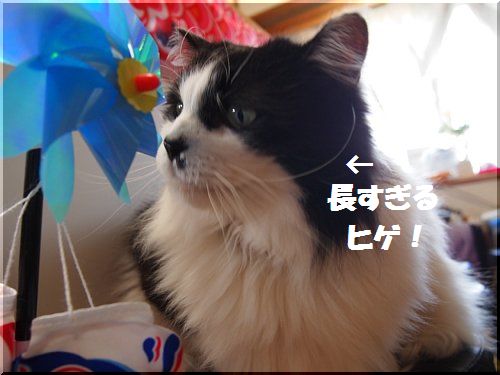 2012050504.jpg