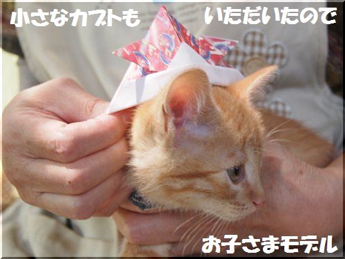 2012050506.jpg