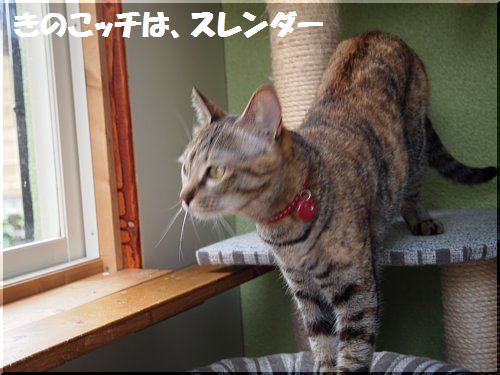 2012050606.jpg
