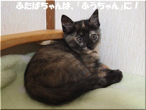 2012051403.jpg