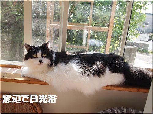 2012051802.jpg