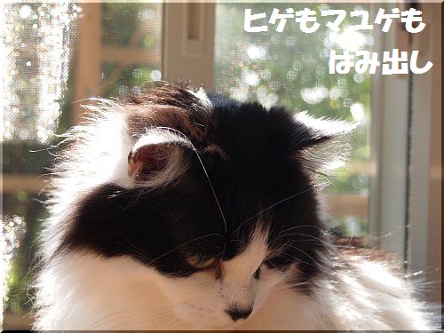 2012051806.jpg