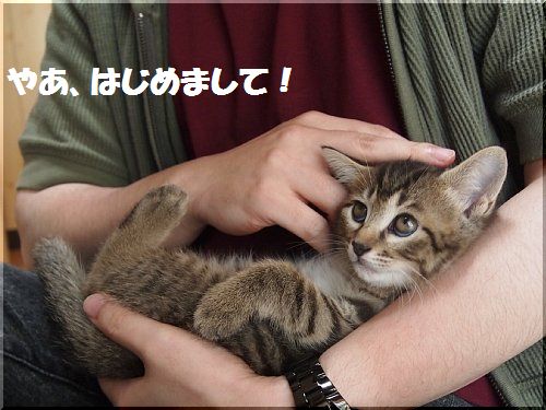 2012052707.jpg