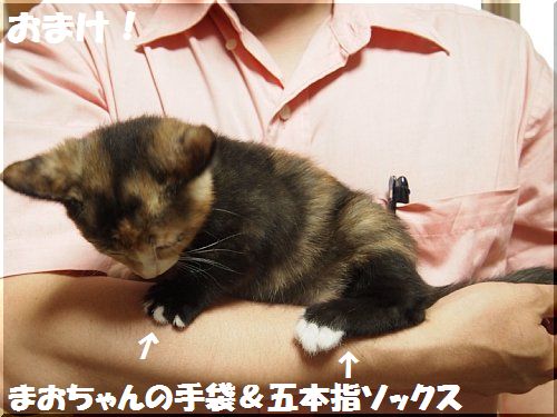 2012060306.jpg