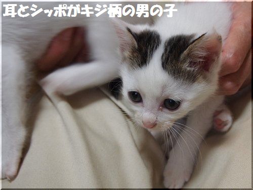 2012061004.jpg