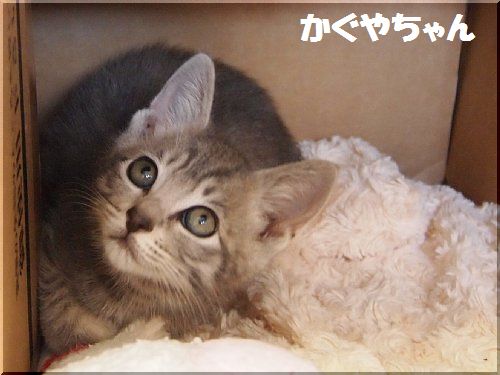 2012061105.jpg
