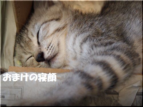 2012061106.jpg