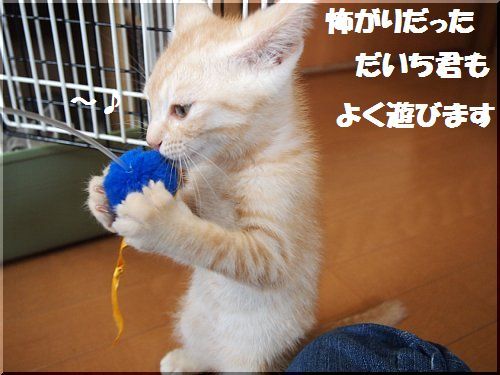 2012062407.jpg