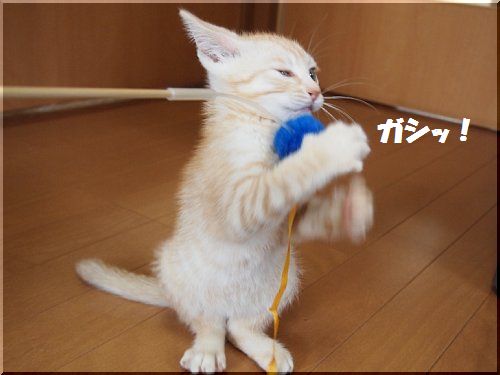 2012062408.jpg