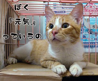2012070103.jpg