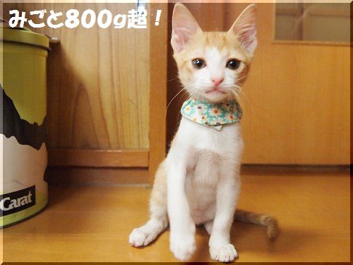 2012072109.jpg