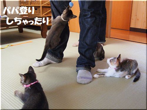 2012080206.jpg