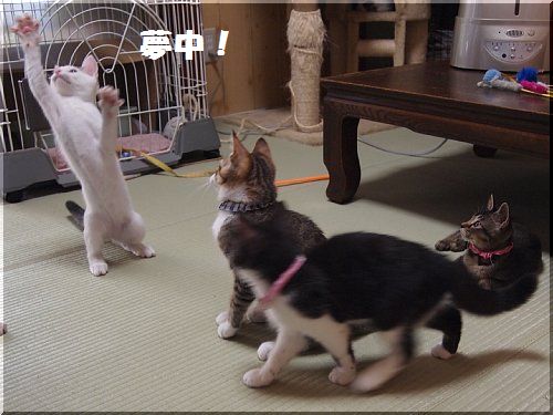 2012080207.jpg