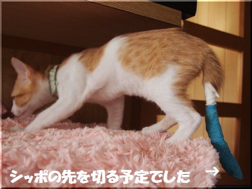 2012080602.jpg