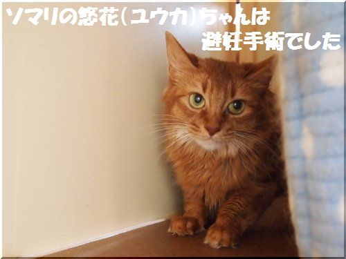 2012080605.jpg