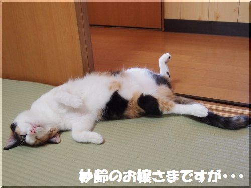2012080703.jpg