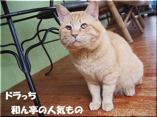 2012081001.jpg