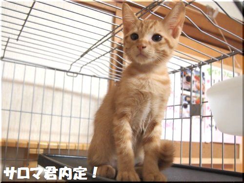 2012081404.jpg