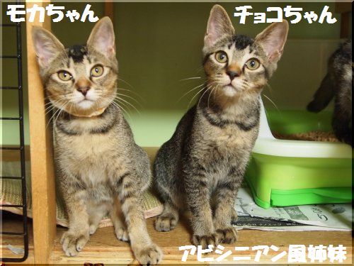 2012081602.jpg