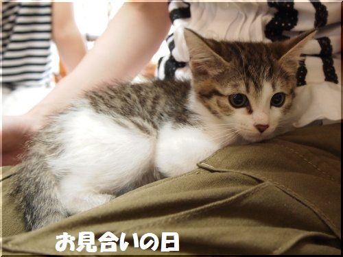 2012081803.jpg