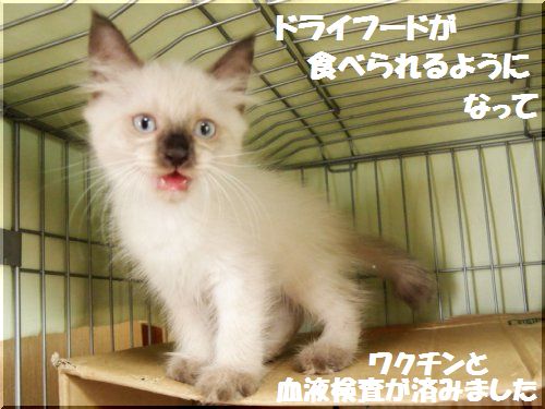 2012082903.jpg