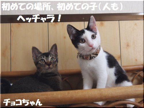 201208302.jpg