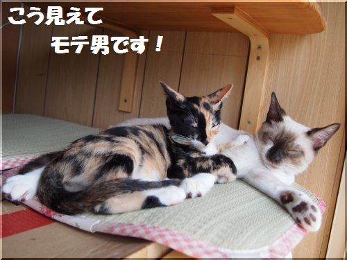 2012090203.jpg