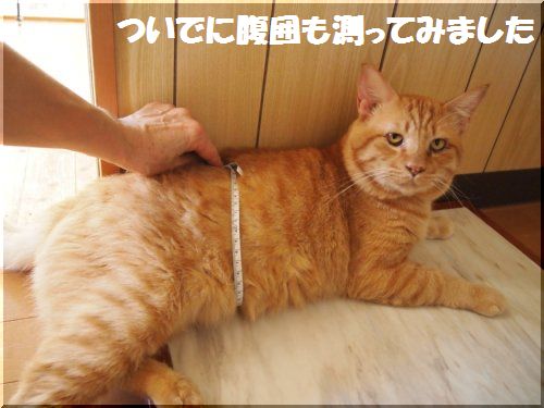 2012091003.jpg